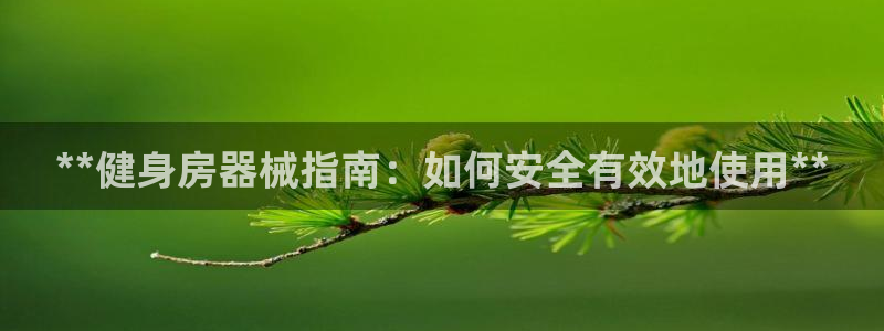 尊龙官网入口：**健身房器械指南：如何安全有效地使用