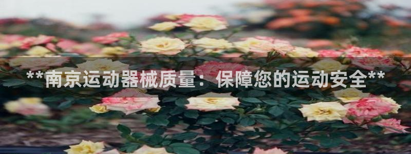 凯时K66最新版本下载：**南京运动器械质量：保障您