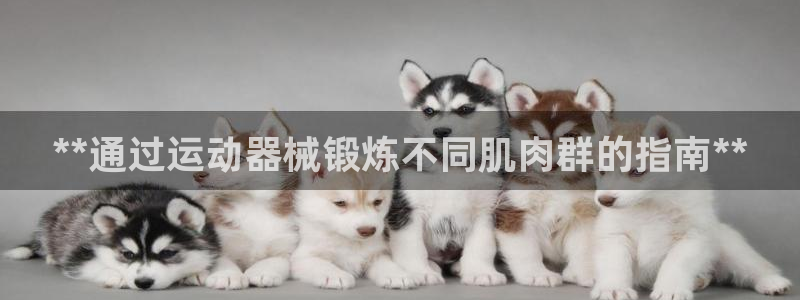尊龙官方网站首页：**通过运动器械锻炼不同肌肉群的指
