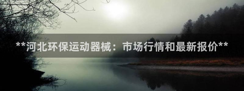 凯时kb88官方：**河北环保运动器械：市场行情和最