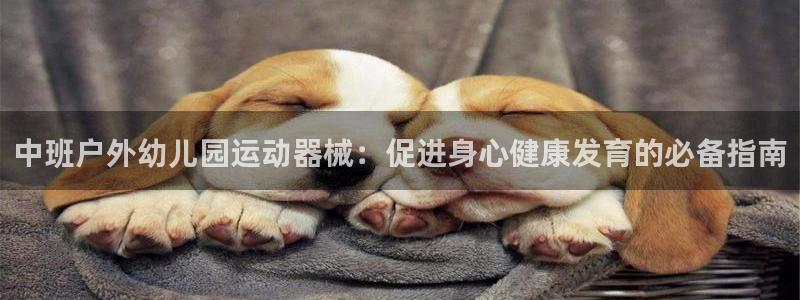 凯时ag旗舰厅网址是什么：中班户外幼儿园运动器械：促