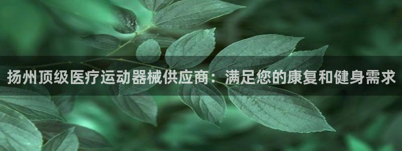 尊龙凯时：扬州顶级医疗运动器械供应商：满足您的康复和