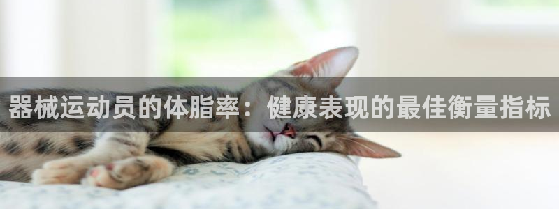 尊龙d88ag官方网站：器械运动员的体脂率：健康表现