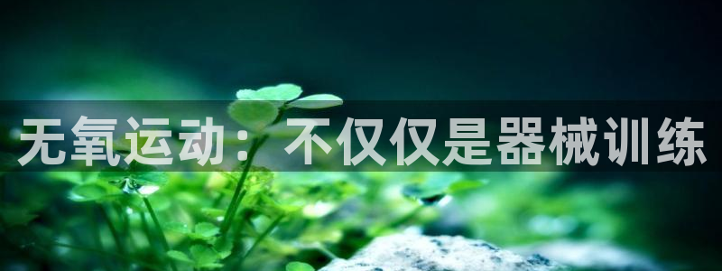 尊龙凯时下载链接：无氧运动：不仅仅是器械训练
