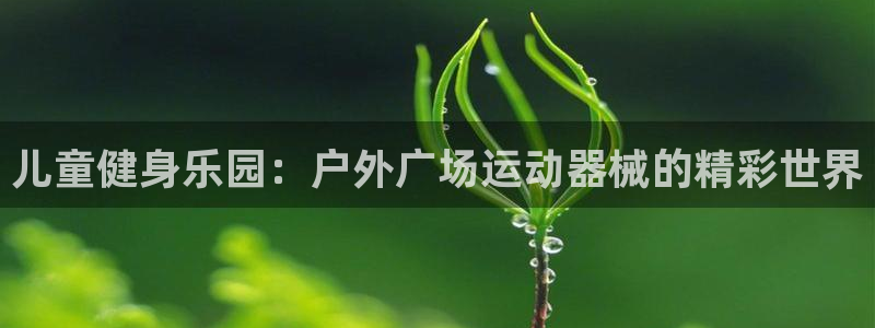 尊龙最近一次露面：儿童健身乐园：户外广场运动器械的精