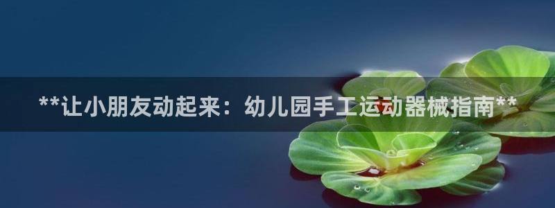 尊龙光学怎么样：**让小朋友动起来：幼儿园手工运动器