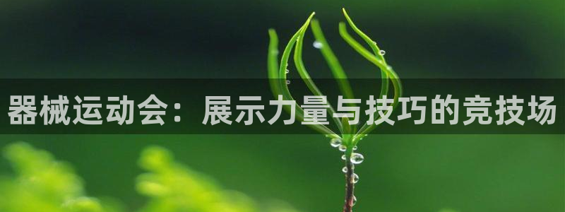 尊龙凯时为什么输了钱：器械运动会：展示力量与技巧的竞
