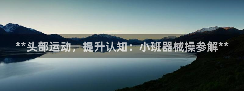 尊龙凯时app安装：**头部运动，提升认知：小班器械