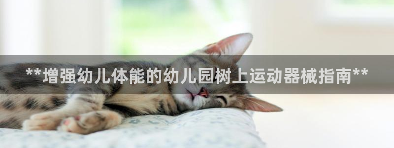 尊龙凯时为什么输了钱：**增强幼儿体能的幼儿园树上运