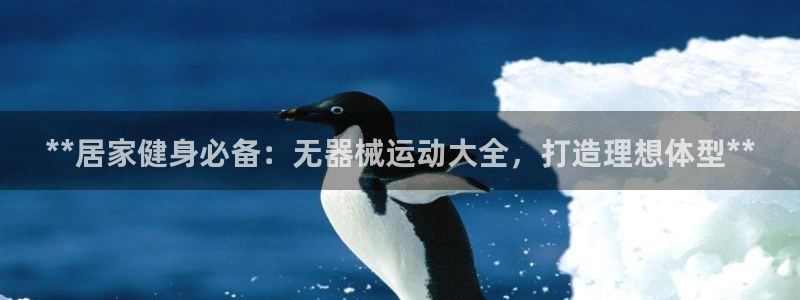 尊龙凯时正规吗：**居家健身必备：无器械运动大全，打