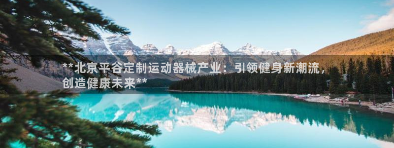 尊龙人生就是博AG：**北京平谷定制运动器械产业：引