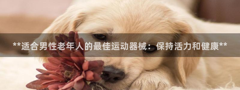 尊龙凯时产品种类：**适合男性老年人的最佳运动器械：