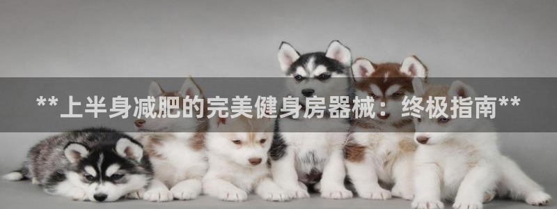 凯时国际app登录：**上半身减肥的完美健身房器械：