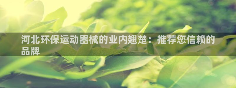 尊龙凯时是不是合法：河北环保运动器械的业内翘楚：推荐