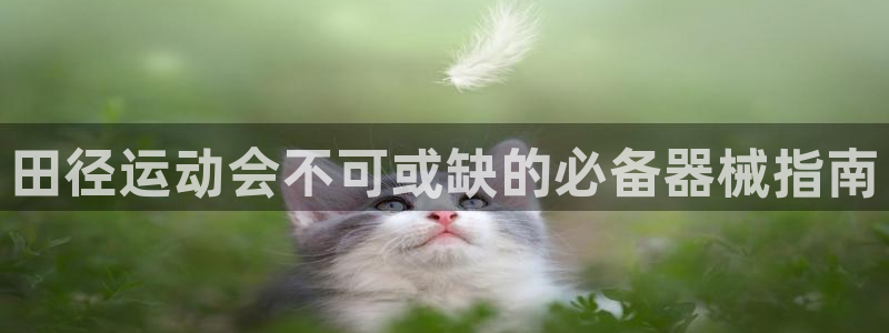 凯时K66最新版本下载：田径运动会不可或缺的必备器械