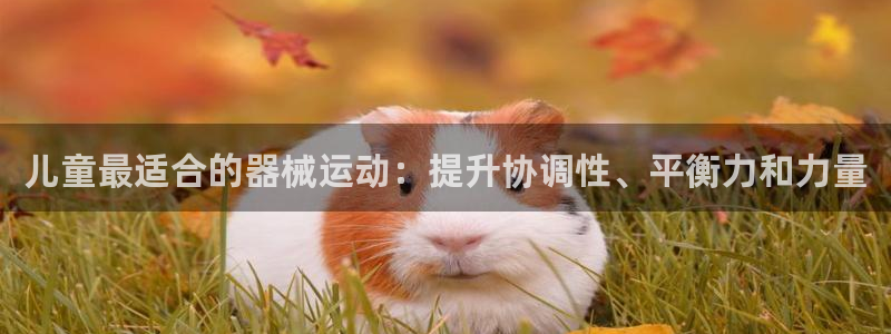 凯时官网：儿童最适合的器械运动：提升协调性、平衡力和