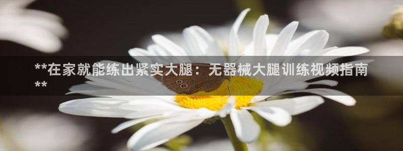 尊龙ag旗舰厅下载：**在家就能练出紧实大腿：无器械大腿训练