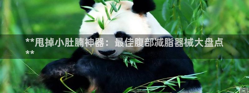 尊龙d88官网去来就送38：**甩掉小肚腩神器：最佳