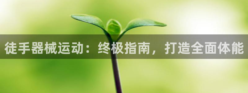 尊龙凯时人生就是搏首页：徒手器械运动：终极指南，打造