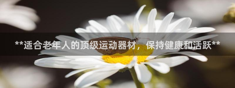 下载尊龙：**适合老年人的顶级运动器材，保持健康和活