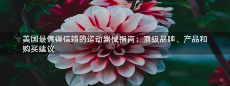 尊龙实业：美国最值得信赖的运动器械指南：顶级品牌、产品和
购