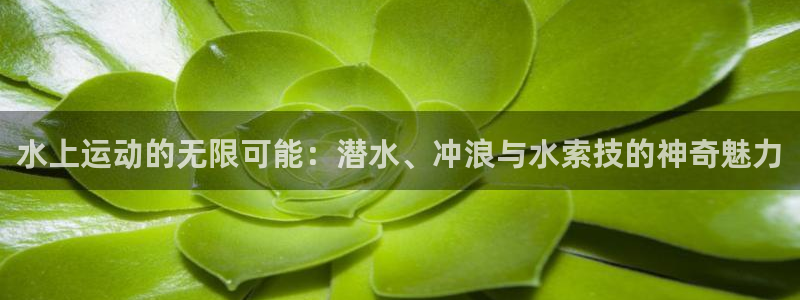 z6尊龙凯时官方