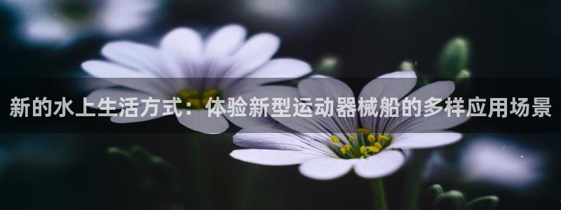 尊龙凯时能不能提现?