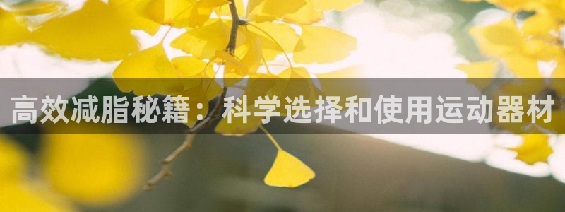 尊龙凯时泰安