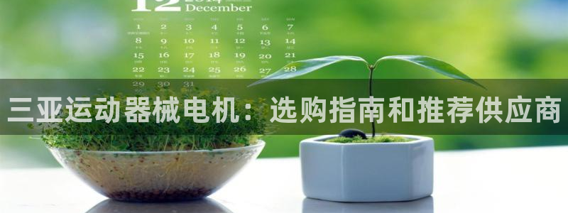 尊龙400：三亚运动器械电机：选购指南和推荐供应商