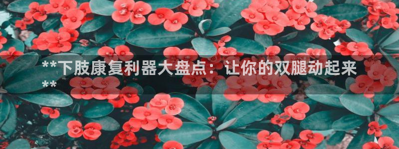 尊龙D88现金旧版：**下肢康复利器大盘点：让你的双腿动起来