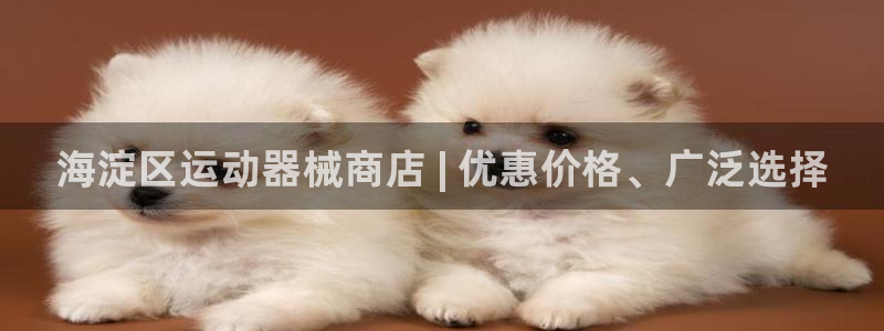 Z6尊龙凯时登录：海淀区运动器械商店 | 优惠价格、