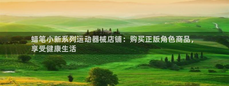 尊龙ag旗舰厅手机版：蜡笔小新系列运动器械店铺：购买