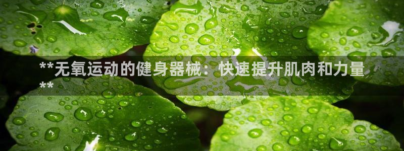 尊龙ag旗舰厅下载：**无氧运动的健身器械：快速提升肌肉和力