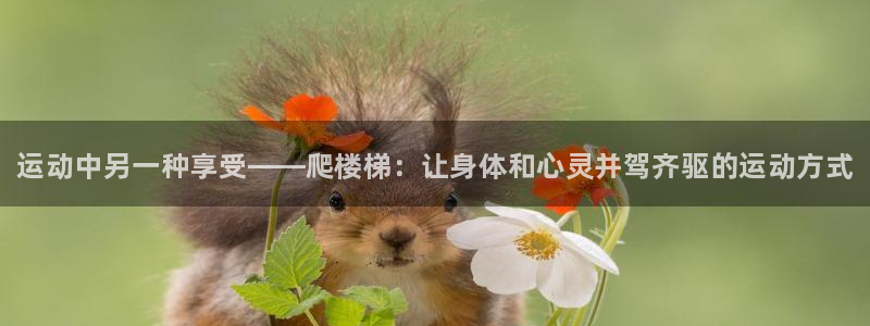 尊龙凯时能提现吗