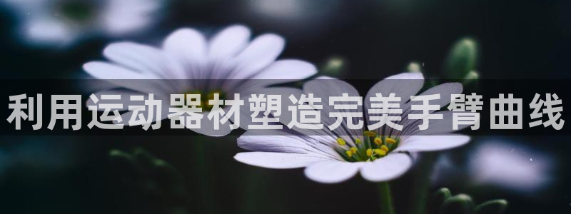 尊龙手机官方客户端下载安卓