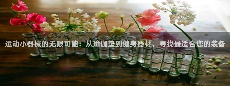 尊龙官网APP下载：运动小器械的无限可能：从瑜伽垫到