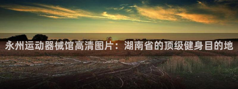 尊龙d88官网确来就送38：永州运动器械馆高清图片：