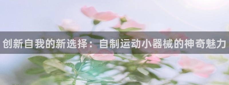 凯时官网的售后服务：创新自我的新选择：自制运动小器械