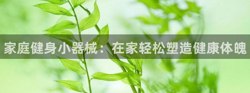 尊龙凯时平台还是万博好：家庭健身小器械：在家轻松塑造健康体魄